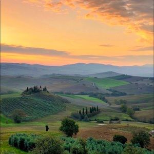 Meet your Posher, Amysha